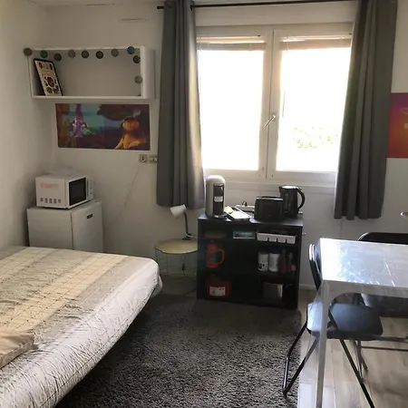 Studio Cosy Parking Prive 300M Petite Venise * Colmar