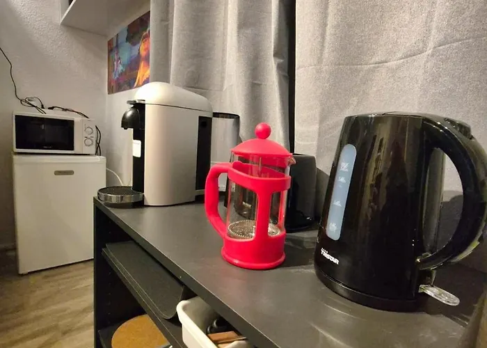 Studio Cosy Parking Prive 300M Petite Venise Colmar