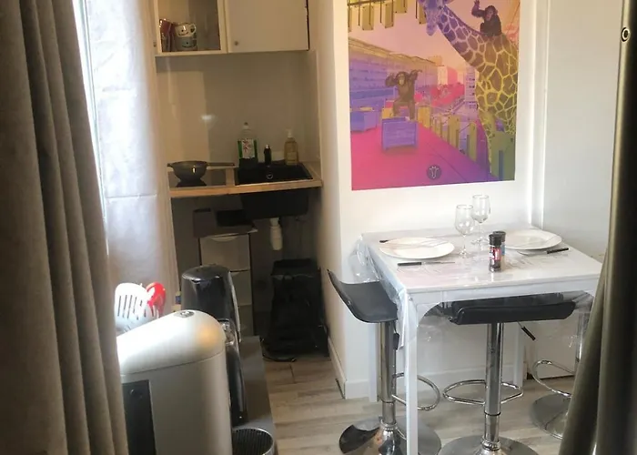 Studio Cosy Parking Prive 300M Petite Venise Apartamento