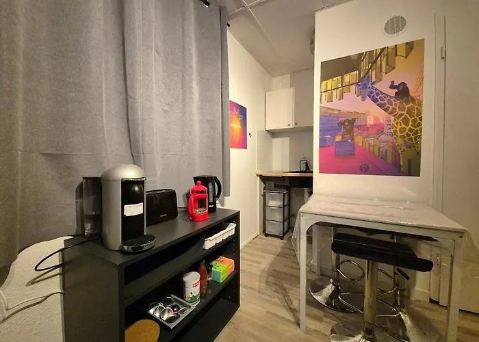Apartamento Studio Cosy Parking Prive 300M Petite Venise Colmar