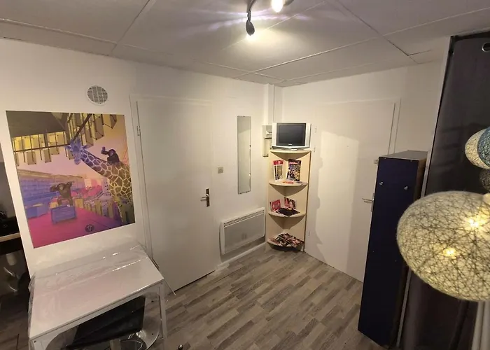Studio Cosy Parking Prive 300M Petite Venise Apartamento *